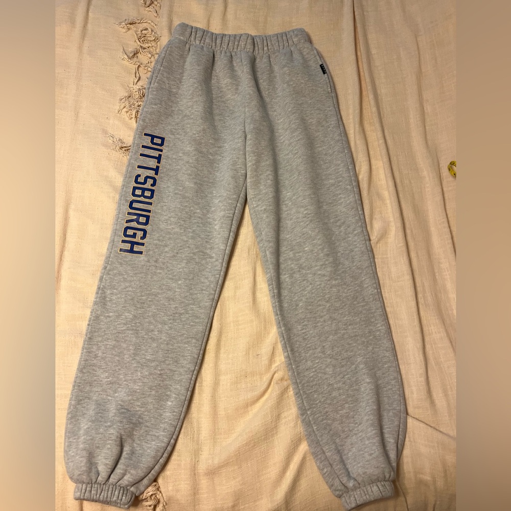 Gray Pitt Hype & Vice Sweatpants